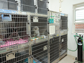 犬の入院室